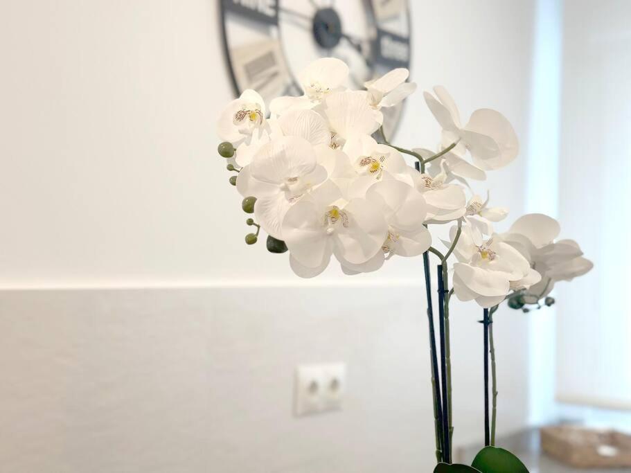 Apartamento Reformado En Santona Bagian luar foto